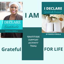 Load image into Gallery viewer, Gratitude Support Activity Package